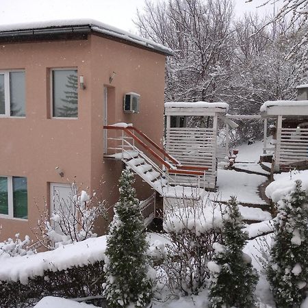Studio Apartmani Pergolo Centar 索科矿泉村 外观 照片