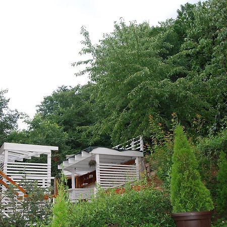 Studio Apartmani Pergolo Centar 索科矿泉村 外观 照片