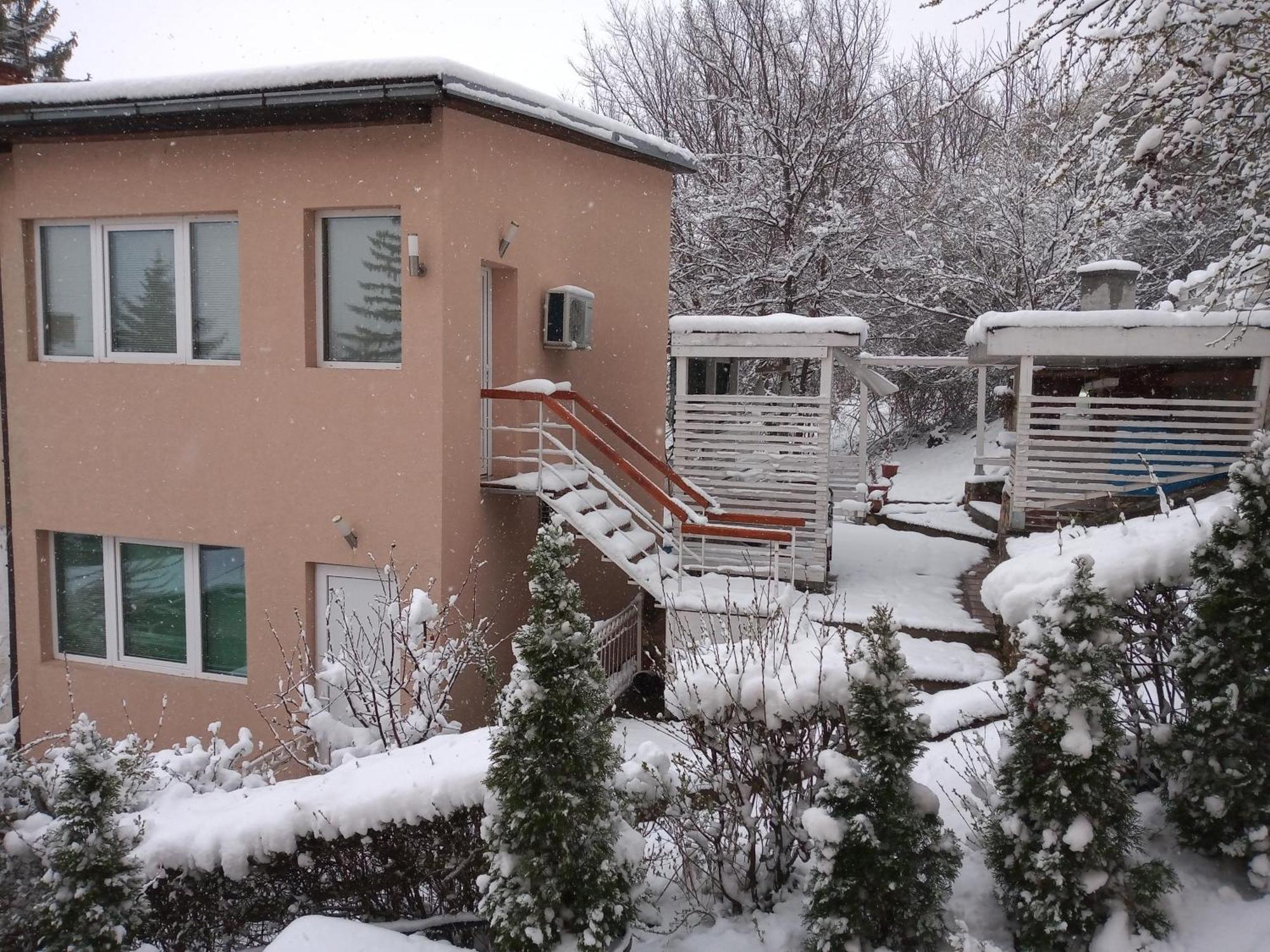 Studio Apartmani Pergolo Centar 索科矿泉村 外观 照片