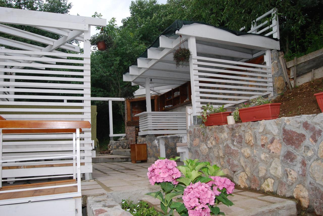 Studio Apartmani Pergolo Centar 索科矿泉村 外观 照片